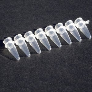 Coated PCR 8 Strip Tubes