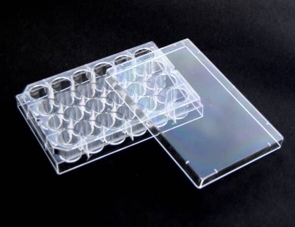 Tissue culture treated clear 24 well plate with lid