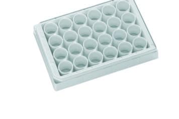 Tissue culture treated white transparent bottom 24 well plate with lid