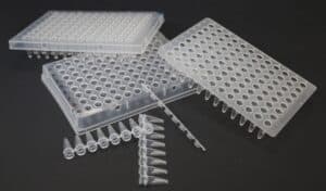 PCR products