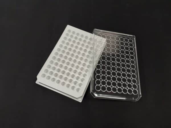 Poly-D-lysine White solid 96 well plate with lid