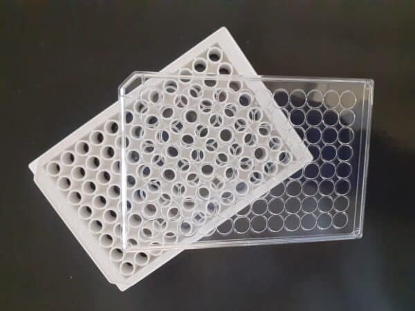 Poly-D-lysine coated White solid transparent bottom 96 well plate with lid