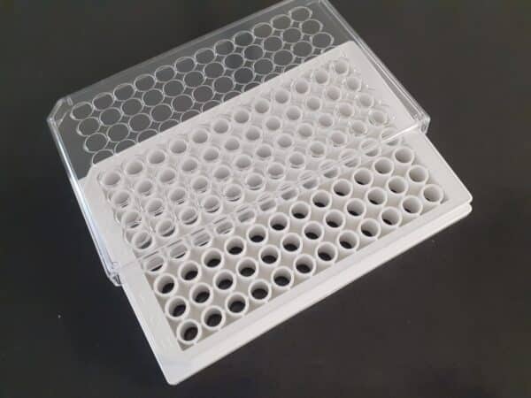 Poly-D-lysine coated White transparent bottom 96 well plate + lid