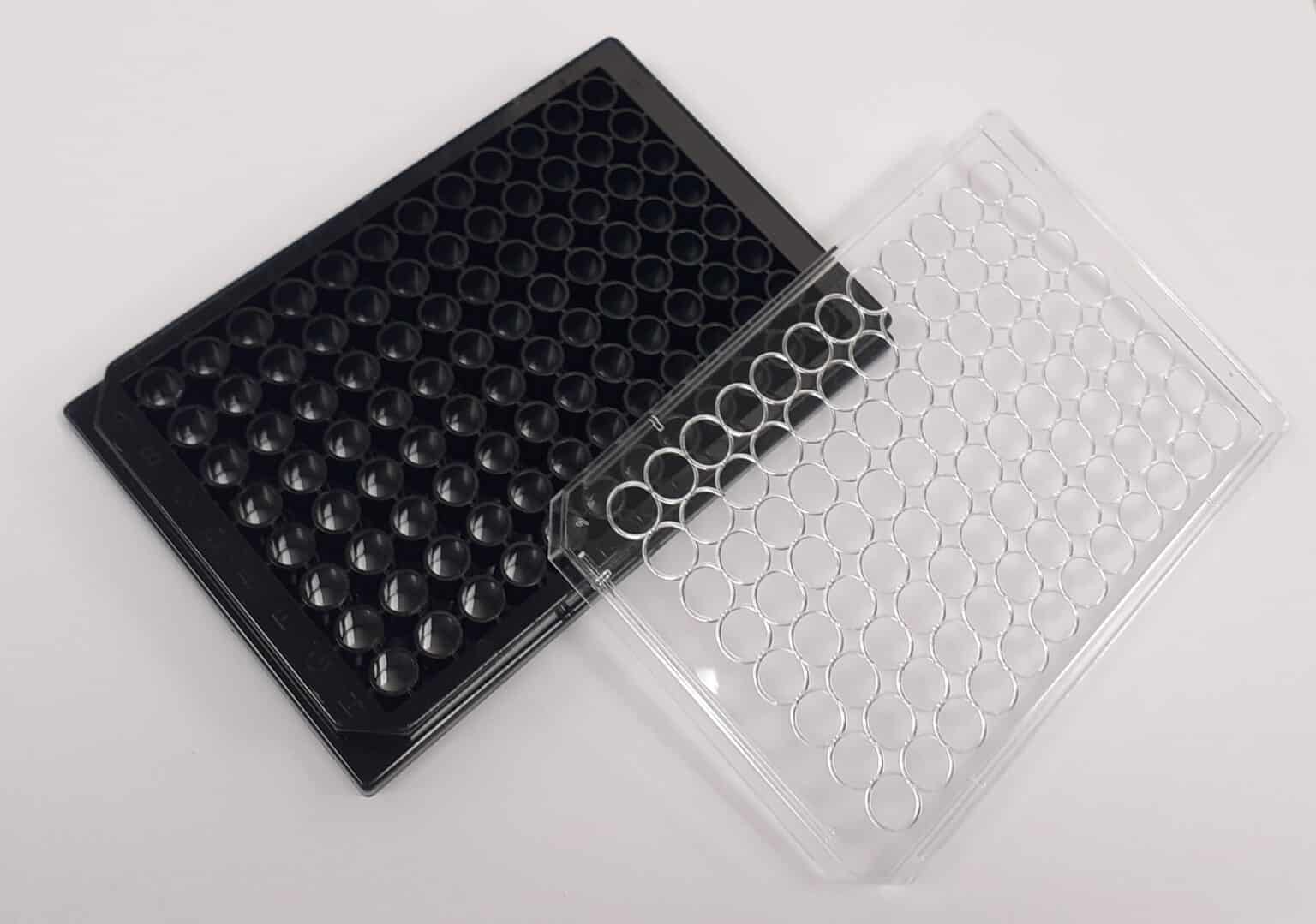PolyLlysine Coated 96 Well Plates Biomat Tissue Culture Plates