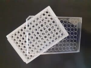 Tissue culture treated White solid transparent bottom 96 well plate with lid