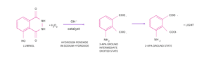 chemiluminescent reaction example